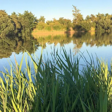 בית נופש 4 Person In Tonder-by Traum *