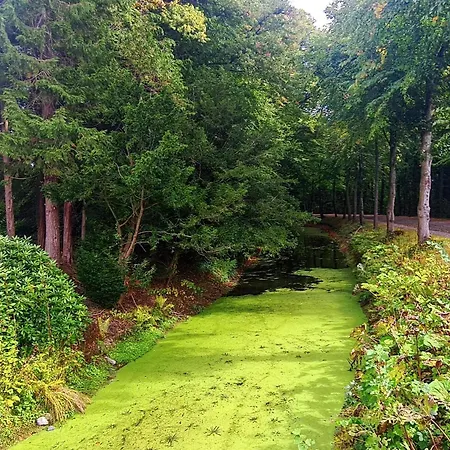 בית נופש 4 Person In Tonder-by Traum