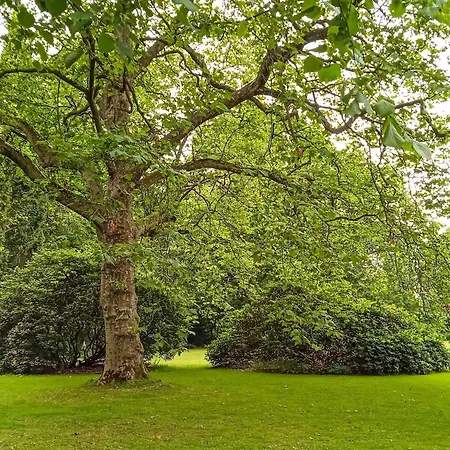 4 Person In Tonder-by Traum